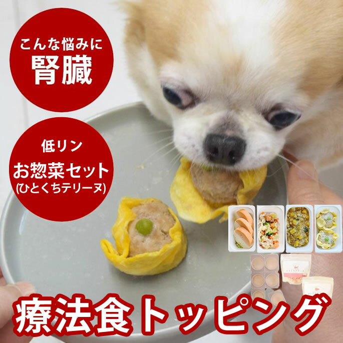【割引クーポン配布中】犬用 猫用 低リンで腎臓に優しい手作りお惣菜セット (ひとくちテリーヌサーモン..