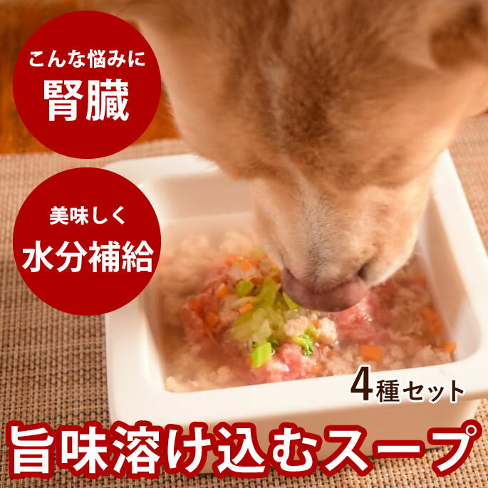愛犬愛猫用 毎日スープ4種セット 鶏ガラ 鹿ガラ 野菜 本格魚節 4つの味がそれぞれ6回分(合計24回分セッ..