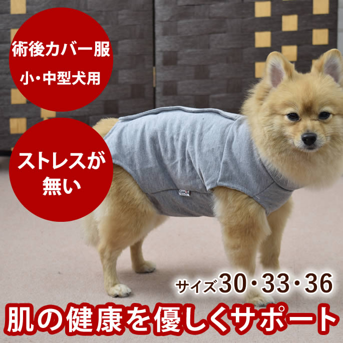 乐天商城 - 犬用 術後カバー服 小・中型犬用（サイズ30・33・36）シュナウザー ダックス シーズー パグ ジャックラッセル 着せやすい ウェア 傷なめ防止 手術後 サポート 老犬 シニア 介護 おしっこ ドッグウェア ドッグウエア 犬の服 犬 術後服 ドッグ