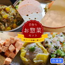 【割引クーポン配布中】犬用 猫用 低リンで腎臓に優しい手作りお惣菜セット (ひとくちテリーヌサーモン・チキンどちらかお選び頂けます) おやつ 老犬 子犬 冷凍ド...