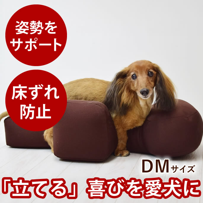 【ポイント5倍】【愛犬用ベッド】 リラクッション DM ブラウン【立位保定・介護ベッド】 小型犬 寝たきりの愛犬に ミニチュアダックスフンド ジャックラッセルテリア 老犬 介護 マッサージ 姿勢サポートクッション