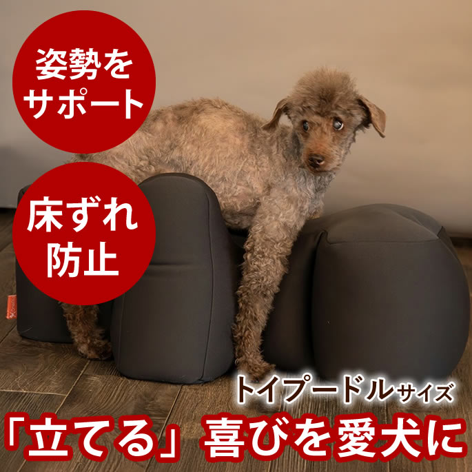 【P2倍＆割引クーポン配布中】【愛犬用ベッド】 リラクッション トイプードルサイズ チャコールグレー ...