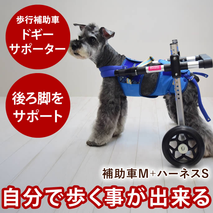 【割引クーポン配布中】歩行補助車 ドギーサポーター 補助車Mサイズ+ハーネスSサイズセット 犬用 車椅子 前足 後ろ足 レンタル 介護用 車いす 小型犬 中型犬 胴輪 ハーネス 補助器具 散歩 歩行補助