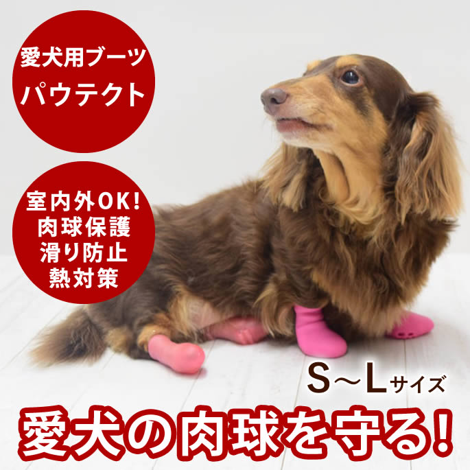 愛犬用ブーツ パウテクト S・M・Lサイズ 【2足入り】 肉球保護 滑り止め効果