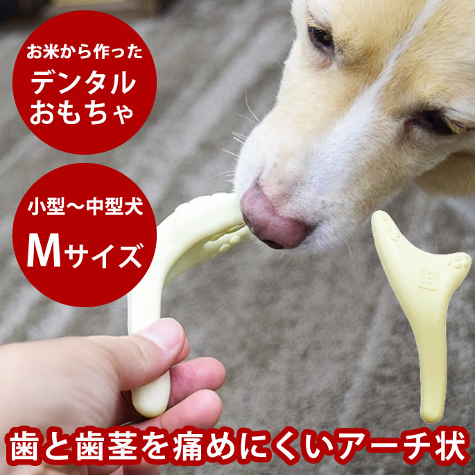 樂天商城 - 愛犬用 デンタルおもちゃ お米から作ったデンタルチュー Mサイズ 犬 おもちゃ 噛むおもちゃ デンタル デンタルおもちゃ 玩具 無塗装 無香料