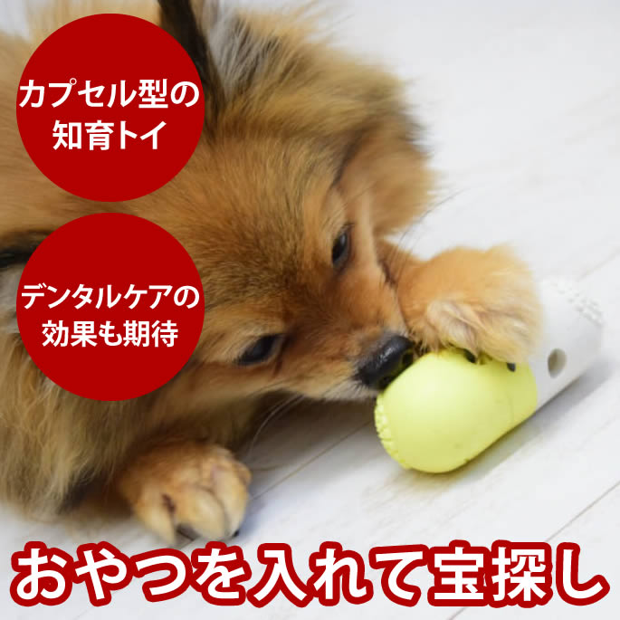 犬用おもちゃ FAD+ トリーツカプセルトイ 知育トイ カプセル 宝探し デンタルケア デンタルトイ 犬のおもちゃ