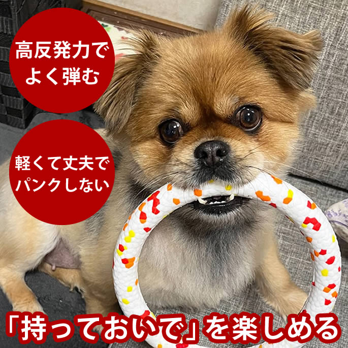 樂天商城 - 犬用おもちゃ フレックスリング【もってこい遊び】