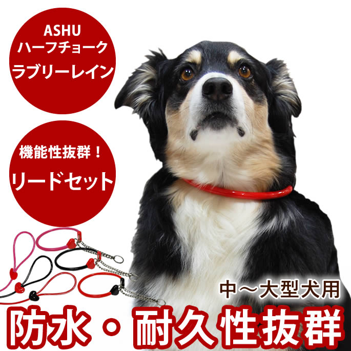 犬 ハーフチョーク リード ASHU ラブリーレインハーフチョーク＆リードセット 中〜大型犬用 ランブルウ..