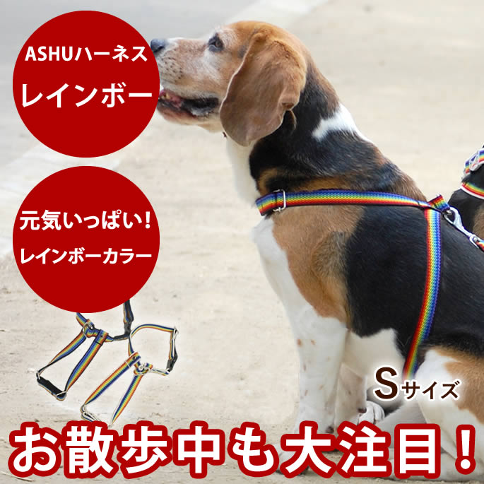 �ڳ�������ݥ�������۸� �ϡ��ͥ� ASHU �쥤��ܡ� ������ S������ ��ñ���� �������äѤ��Υ쥤��ܡ����顼�������å��塡���ξ夫�顡Ϸ�� �ϡ��ͥ� ��...