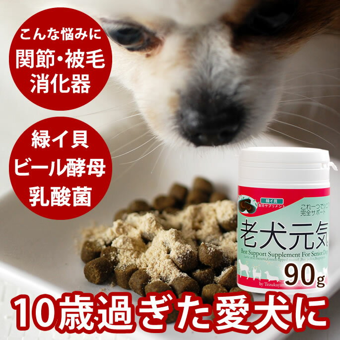 【割引クーポン配布中】老犬 サプ
