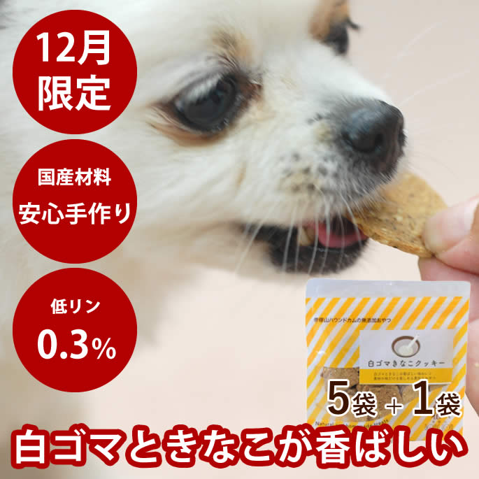 【割引クーポン配布中】【12月限定】無添加おやつ 白ゴマきなこクッキー 5袋+1袋セット【無添加おやつ..