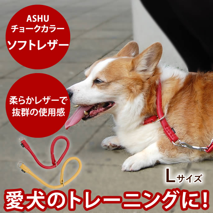 �ڳ�������ݥ��������ASHU*���եȥ쥶��[���硼�����顼] ��������L ������緿���ѡ�