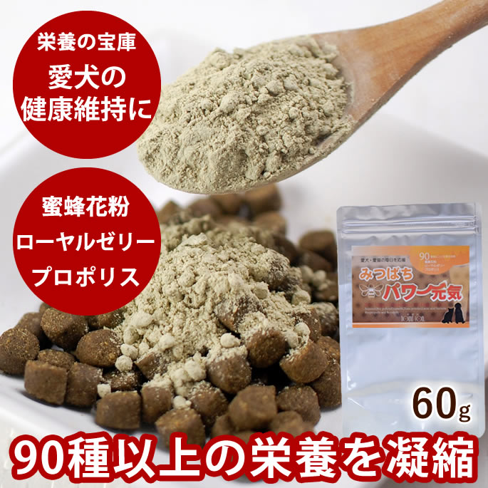 【割引クーポン配布中】みつばちパ