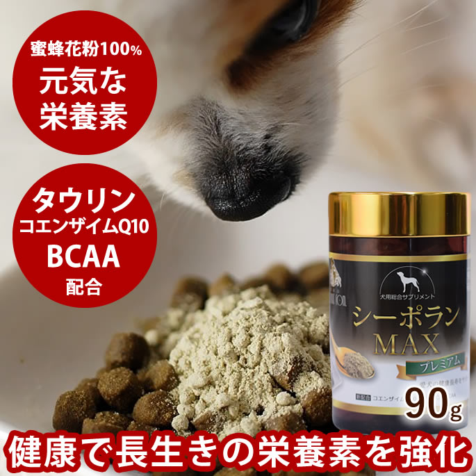 【割引クーポン配布中】シーポラン