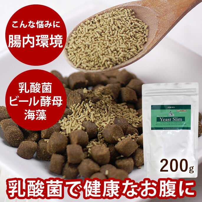 犬 サプリメント 乳酸菌 イーストス