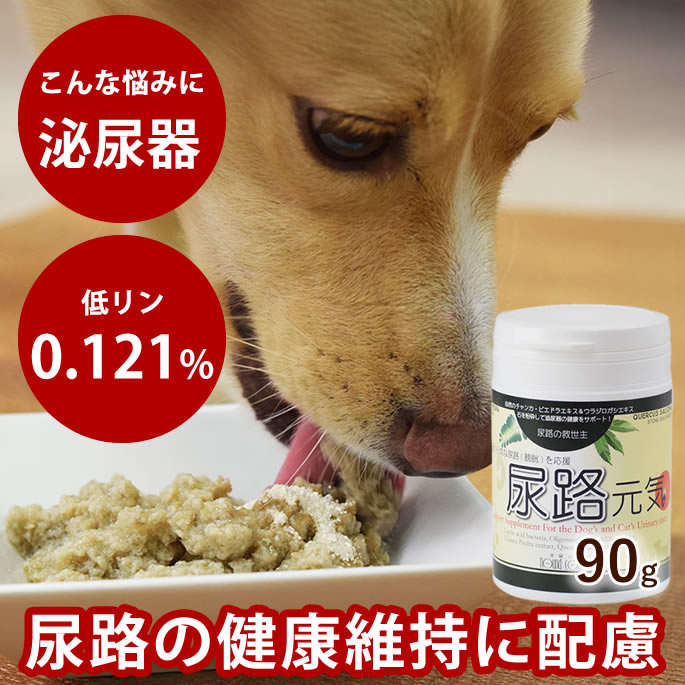 【ポイント5倍】尿路元気 犬猫用90gの為のサプリメント チャンカピエドラ、ウラジロガシは共に葉の粉末..
