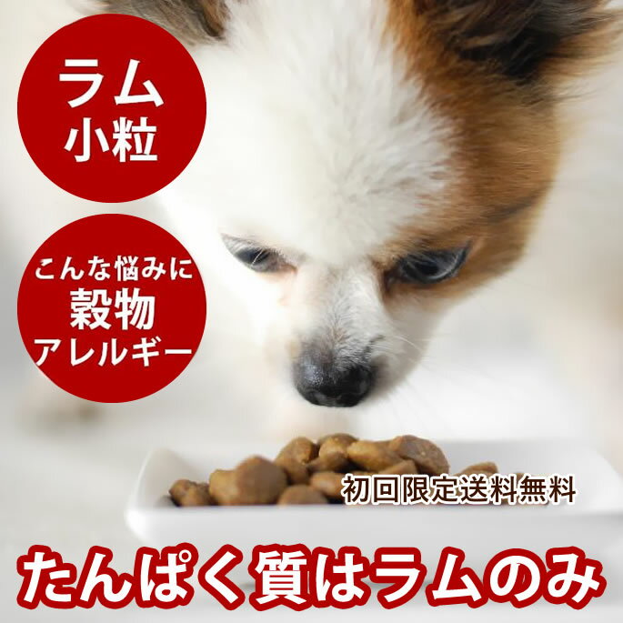 【送料無料】トライプドライ ドッグフード SAPラム小粒 907g スターター 穀物不使用 穀物フリー 小粒 わんこ 犬用品 ドライフード グレインフリー ごはん ワンコ 高齢犬 シニア