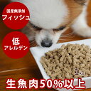 ホリスティック クッキング フィッシュ(天然旬の魚) 1kg(500g×2袋) 犬 ドッグフード 国産 無添加 防腐剤不使用 ノンオイルコーティング 魚肉 小粒 老犬 シニア 子犬 成犬 全年齢 オールステージ 犬用 無添加 プレミアム タウリン 震災 非常食 保存食 在庫あり 犬のごはん