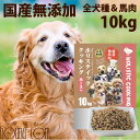 ホリスティッククッキング ホース 10kg (5kg×2袋) 高齢犬 シニア 馬肉 食いつき抜群 小粒 老犬 ドッグフード 子犬 離乳食 国産 無添加 生肉主体...