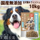 ホリスティッククッキング フィッシュ(天然旬の魚) 10kg (5kg×2袋) 高齢犬 シニア ノンオイルコーティング 食いつき抜群 国産 無添加 老犬ドッグ...