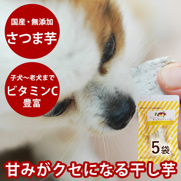 【割引クーポン配布中】犬 おやつ 無添加 国産手作り 干し芋スティック（ 100g5袋セット ） 国産 無添..