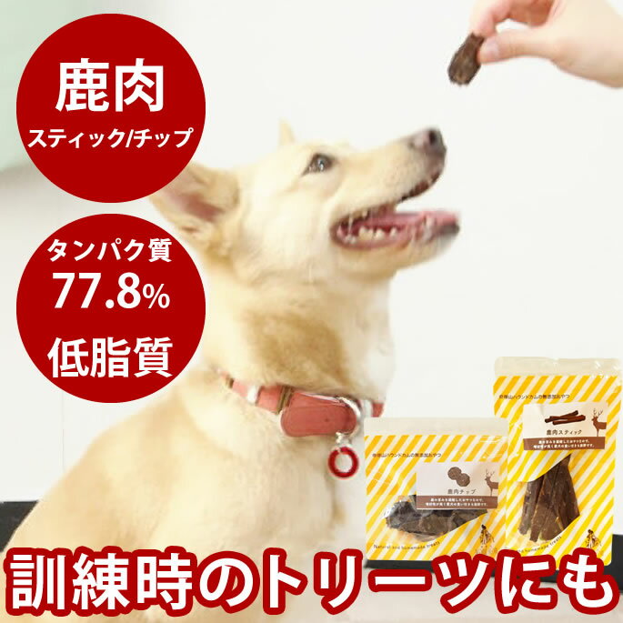 P2ܡݥ۸  ̵ź  ƥå å ڥå  ļڥڥå ڥåȥա ա ̵ź Τ ڥåȤΤ  㡼 ǭΤ ǭѤ ǭ  åȥա ͥ ǭ