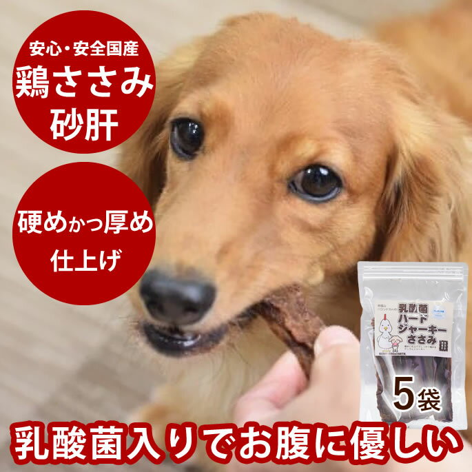 犬 おやつ 無添加 デンタル 乳酸菌ハードジャーキーささみ 80g （ 5袋セット ） 硬め 鶏 ささみ 噛める..