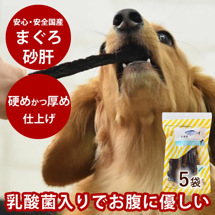 犬 おやつ 無添加 デンタル 乳酸菌ハードジャーキーまぐろ 80g（ 5袋セット ） 硬め 魚 噛める ヘルシ..