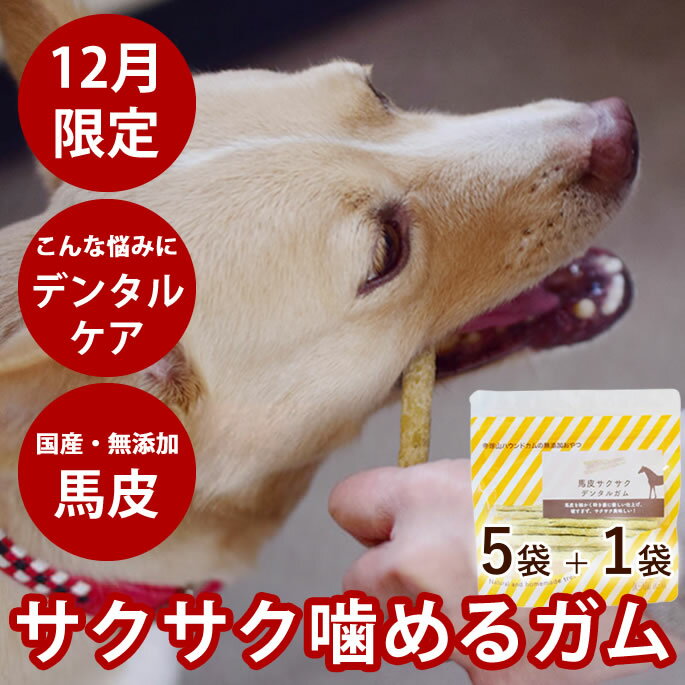 【12月限定】愛犬用ガム 馬皮サクサクデンタルガム 5袋セット+1袋プレゼント ガム デンタルトリーツ 犬用歯磨きガム 柔らかめガム 子犬　老犬 おやつ デンタルガム 食いつき抜群 馬皮ガム 安心無添加 噛むおやつ チキンアレルギー 豚アレルギー 牛アレルギー 乳酸菌 パパイヤ