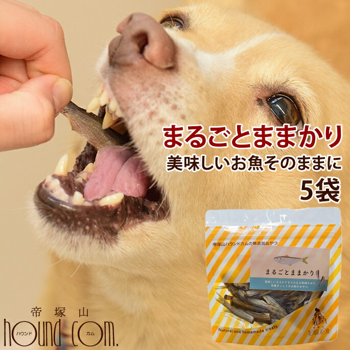 愛犬愛猫用 魚のおやつ　無添加 まるごとままかり 5袋セット 魚のおやつ 国産 無添加 ジャーキー 魚 ままかり 素材そのまま 食いつき 海鮮ジャーキー 魚ジャーキー 小型犬 中型犬 大型犬のサムネイル