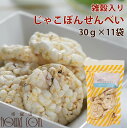 【割引クーポン配布中】犬 おやつ 無添加 国産 低脂肪 雑穀入りじゃこぽんせんべい 30g×11袋セット 国産 無添加 低脂肪 低カロリー ヘルシー ちりめん ...