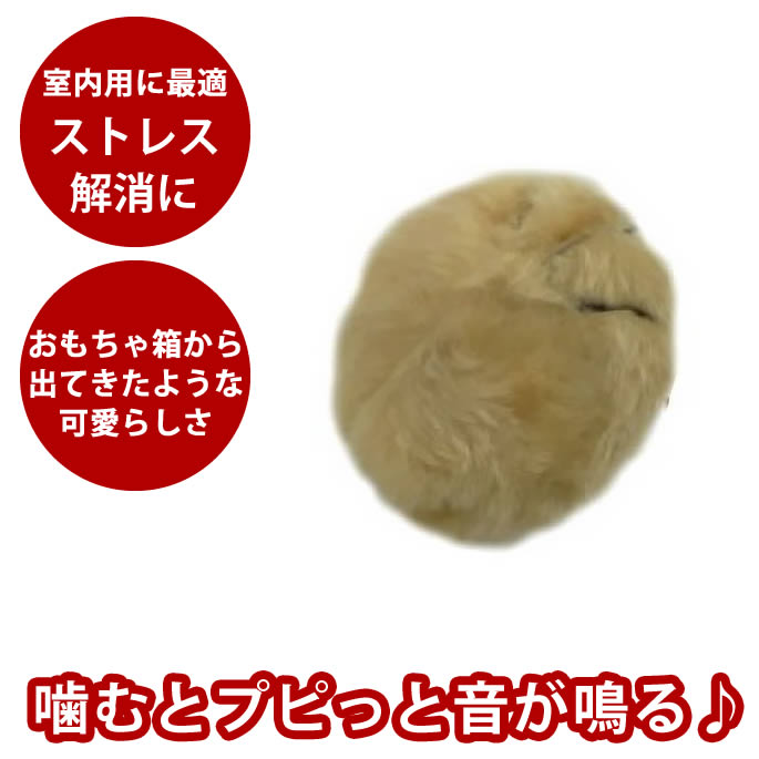 【割引クーポン配布中】ブル足犬用おもちゃ 誕生日プレゼント【ペット用玩具 ペットグッズ ギフト 犬用..