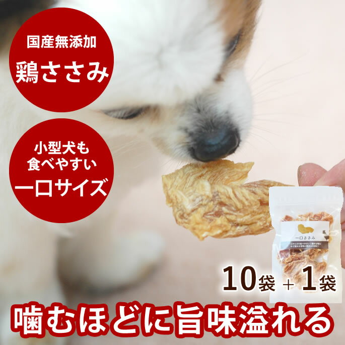 【割引クーポン配布中】無添加おやつ ひと口ささみ 70g 10+1個セット 犬 無添加 国産 低脂肪 鶏肉 チキン ジャーキー ササミ 犬用 犬のおやつ ひとくち