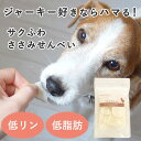 【ポイント5倍】犬 猫 おやつ ささみせんべい 40g 犬 おやつ 無添加 国産 ささみ ササミ 鶏肉 低脂肪 高齢犬 柔らかい オヤツ シニア パピー 手作り 安全 シニア犬のおやつ