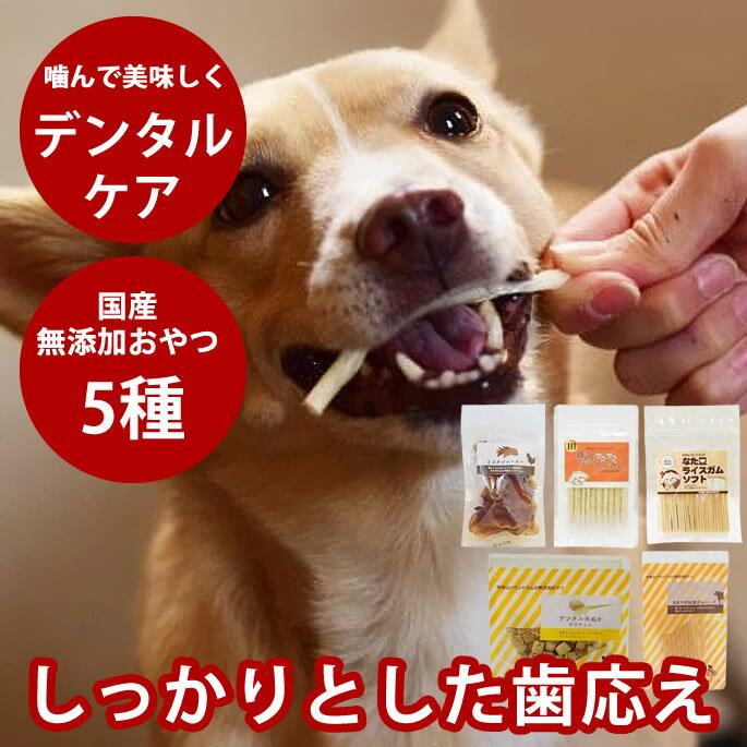 ڳݥ۸Ѥġåǥ󥿥뤪ĥå ̵ź   ߤ ȥ쥹 Ϸ Ҹ   ʥå