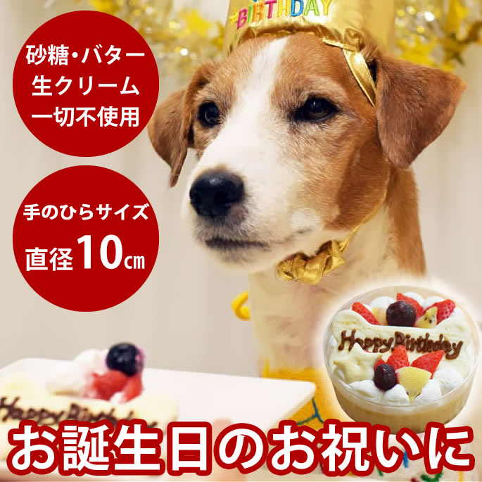 犬用 ケーキ バースデー デコレーションカップケーキ 直径10cm　冷凍 誕生日ケーキ　犬のケーキ 小型犬..