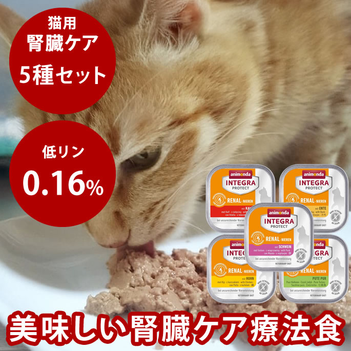 ���˥��� ǭ����ƥ���ץ��ƥ��� ��¡�����ʥˡ�����(��¡��ˡ��) ��5�Ĥ�̣���åȡ� 100g��5�� ��1�Ĥ��Ĥ����٤ޤ���ǭ�� ����åȥա��� �ͥ��� ...