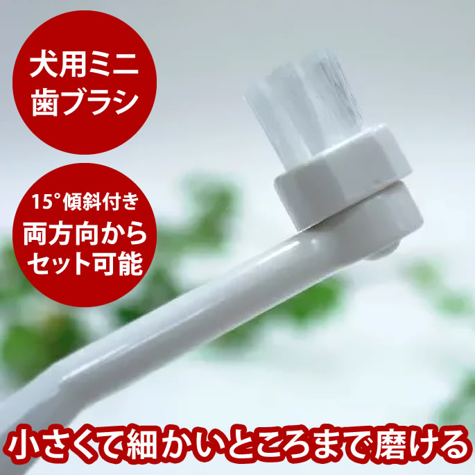 愛犬の歯のケアにおススメです♪犬口ケア ティースブラシ 犬用ミニ歯ブラシ