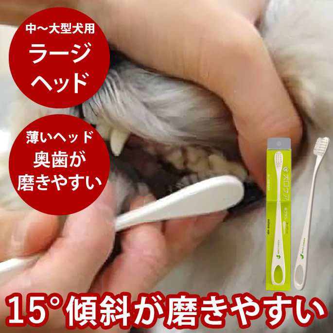 NEW！犬口ケア 歯ブラシ ラージヘッド【犬 デンタル 犬用歯磨き】犬用ハブラシ 大型犬 中型犬 はみがき 犬口ケア デンタルケア 犬用歯ブラシ 犬の歯磨き オ...