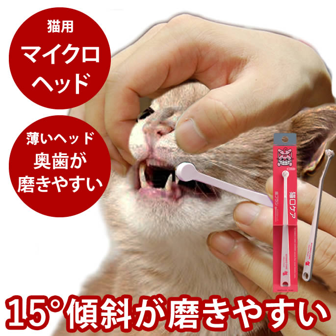 ǭ������ �ޥ������إåɻ��֥饷 ǭ�ѡ�ǭ ���֥饷 �ǥ󥿥� ǭ�ѻ��᤭�۸� �Ϥߤ��� �������� ���� �ǥ󥿥륱�� ���λ��᤭ �ǥ󥿥륯�꡼�� �ϥߥ��� ...