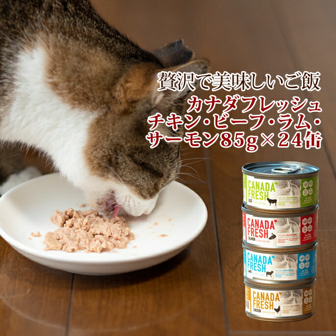 【お取り寄せ】キャットフード　カナダフレッシュ　85g 24缶セット チキン・ビーフ・ラム・サーモン 缶詰【総合栄養食】 猫用 缶詰