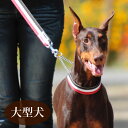 ハーフチョーク 大型犬 ASHU トリコ