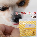 犬 おやつ 無添加 ヨーグルトチップ