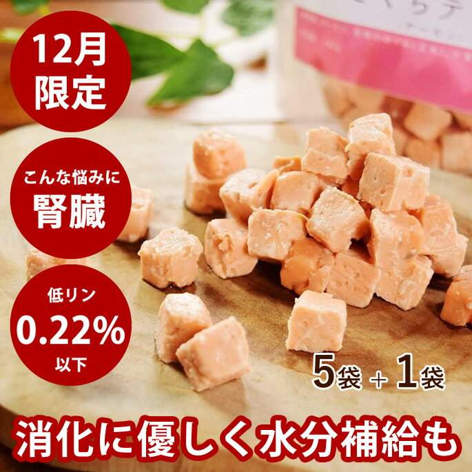【割引クーポン配布中】【12月限定】とっておきのひとくちテリーヌ サーモン 100g×5袋+1袋セット 冷凍 犬用 おやつ 無添加 国産 大型犬 しつけ 鶏肉アレルギーの子でも安心 食いつきがいい ジャーキー 少量 食べ切りサイズ 冷凍ドッグフード フレッシュドッグフード