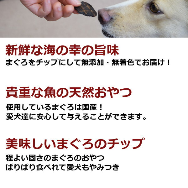 犬 おやつ 無添加獲れたて まぐろチップ ペット おやつ 魚 鮪 マグロ フィッシュ 犬 猫 ジャーキー ギフト 愛犬 無添加 オヤツ ワンコ 国産 安心 安全 食いつき抜群 喜ぶ 3