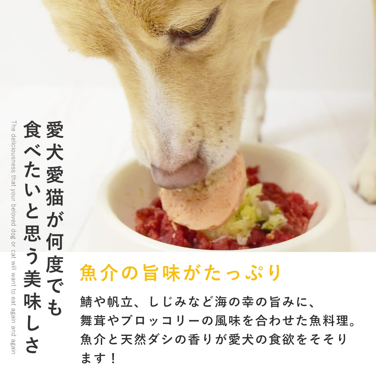 【割引クーポン配布中】犬 手作りごはん ミルク仕立てのアクアパッツァ【ハウンドカム食堂】 簡単 便利 手作りご飯 食べない トッピング 冷凍ドッグフード フレッシュドッグフード 帝塚山ハウンドカム ashudog-10014384 愛犬手作りご飯 ハウンドカム食堂 サンプル画像2