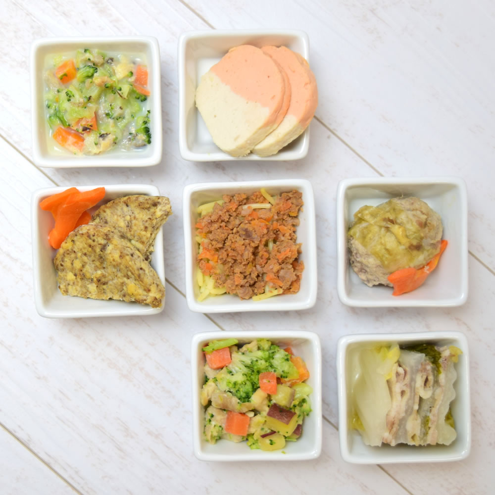 犬 腎臓ケア|低リンで腎臓に優しい単品6食Aセ...の紹介画像2