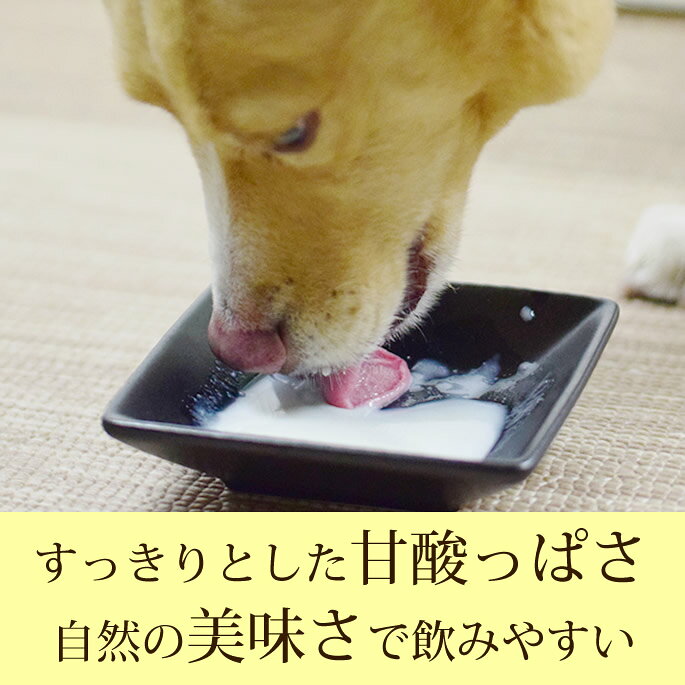 【割引クーポン配布中】犬猫用　ペットのノンアルコール甘酒　発酵のめぐみ　プレ...