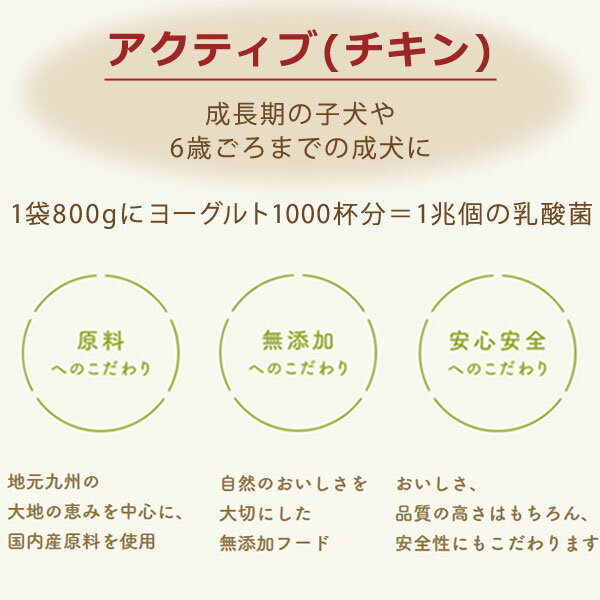 サンプル画像3
