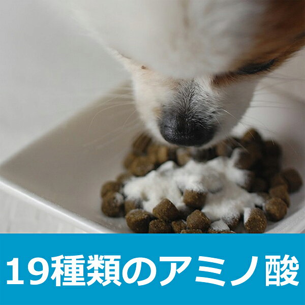 フィッシュコラーゲン 200g【犬猫 サプリメント】犬 コラーゲン サプリメント 粉末 毛艶 関節 皮膚 ジョイント 犬 ケア ペットのサプリ メント ねこ 犬の関節サプリメント ペット 犬用 犬用サプリメント ドッグ ashudog-10008956 愛犬手作りご飯 ハウンドカム食堂 サンプル画像2